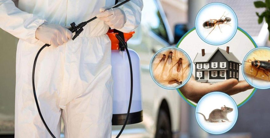 Tavşanlı Böcek İlaçlama