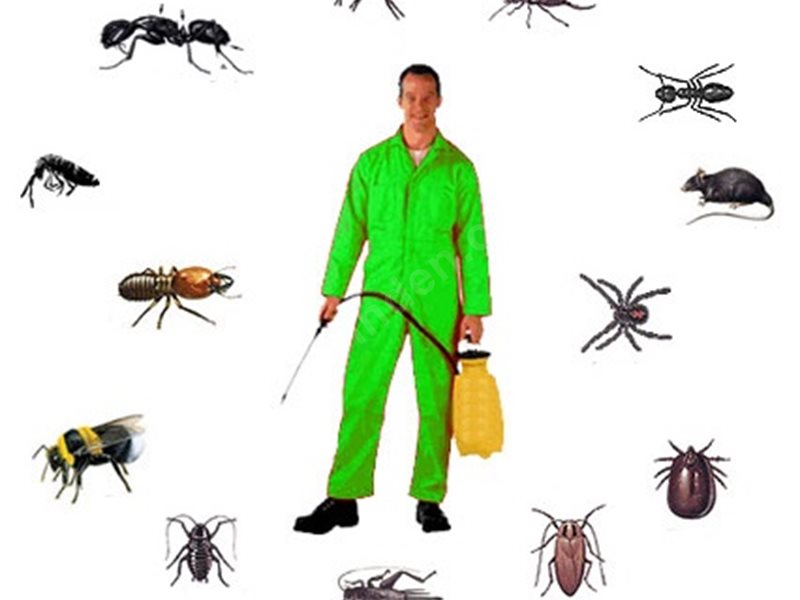 Tavşanlı Böcek İlaçlama